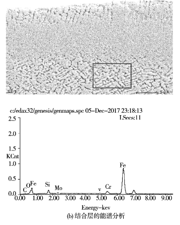 图12 熔覆层的能谱分析结果